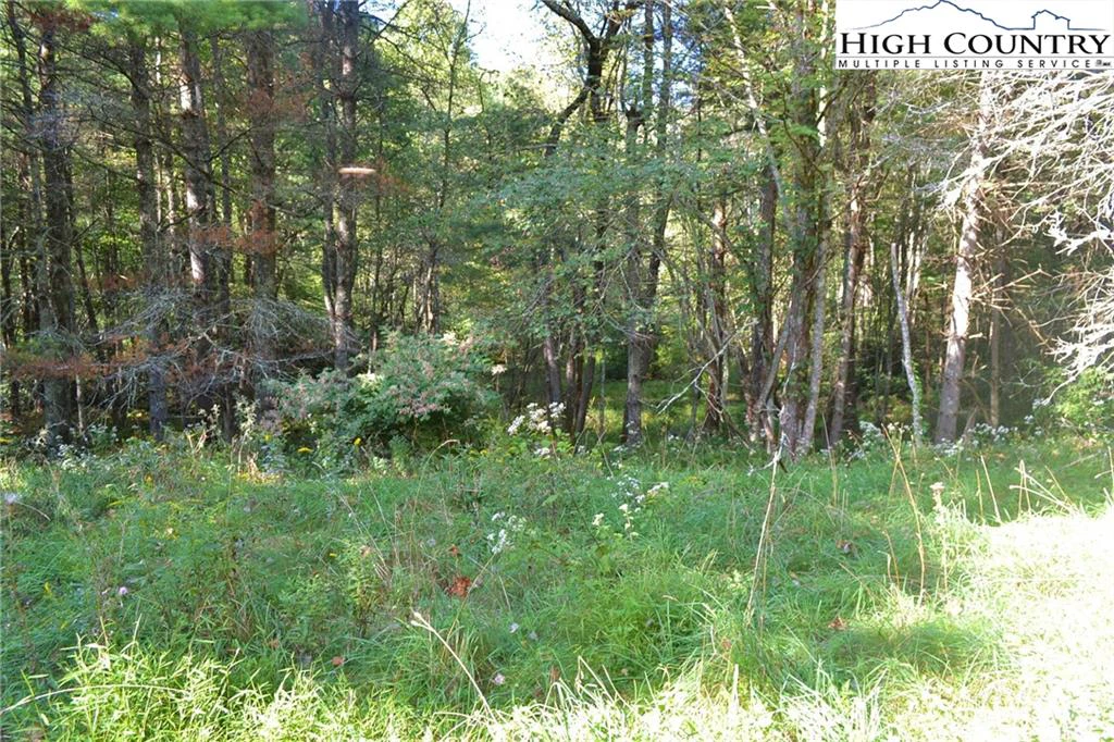 Image number 5 for the current listing