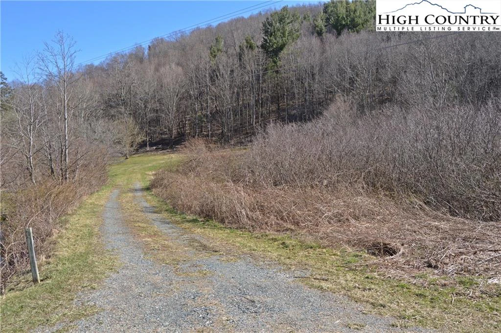 Image number 16 for the current listing