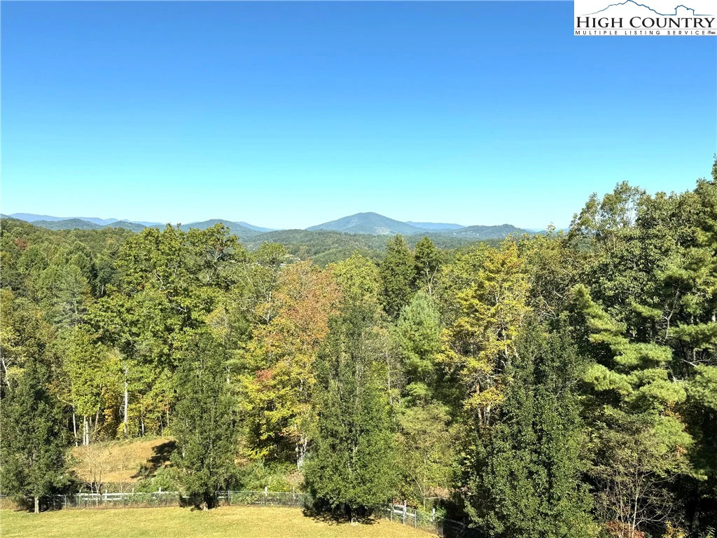 Image number 2 for the current listing