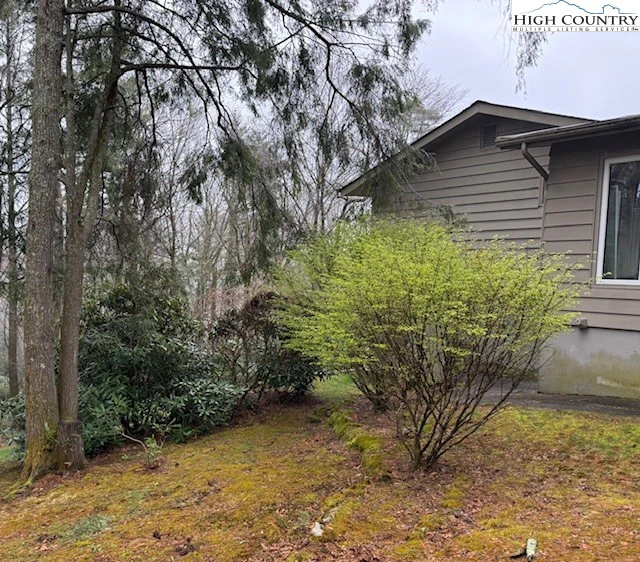 Image number 9 for the current listing