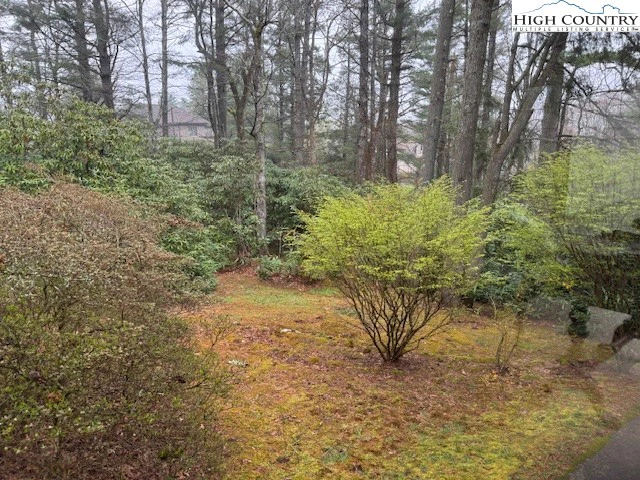 Image number 5 for the current listing