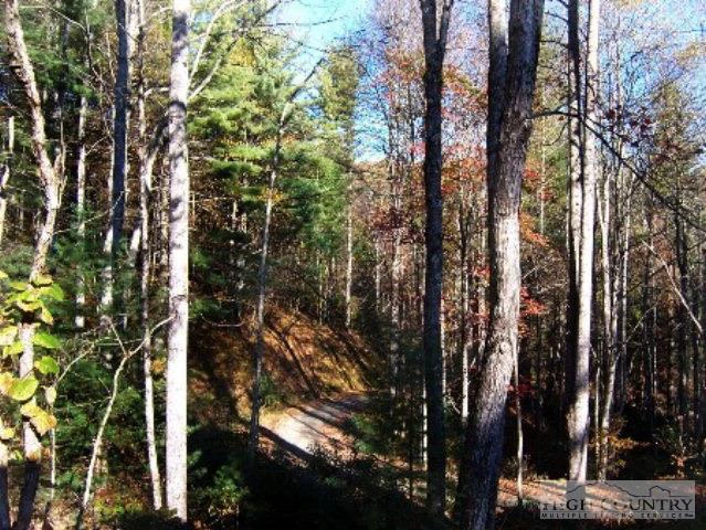 Image number 12 for the current listing