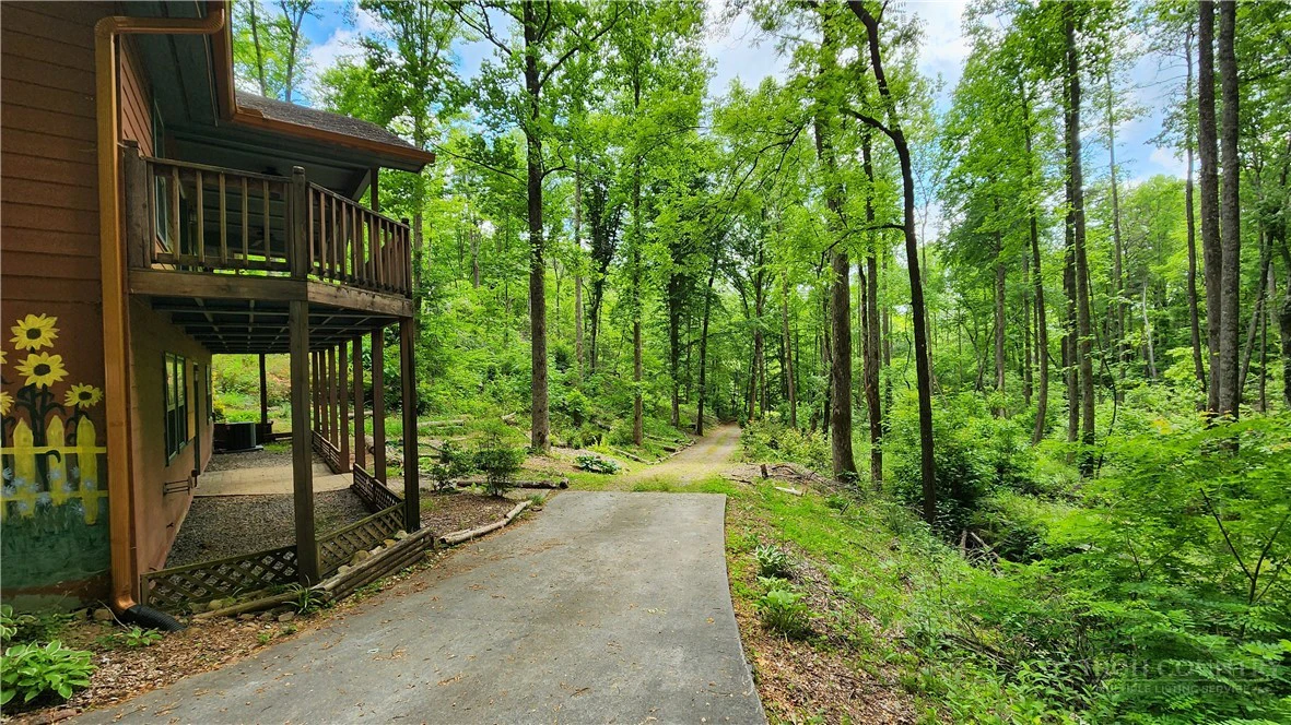 Image number 2 for the current listing