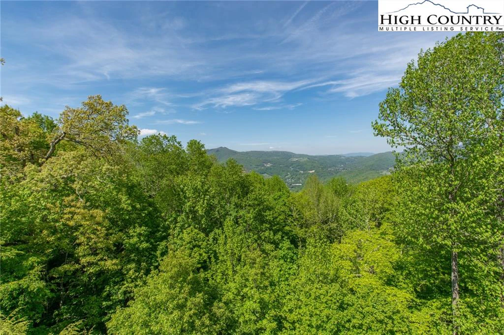 Image number 18 for the current listing