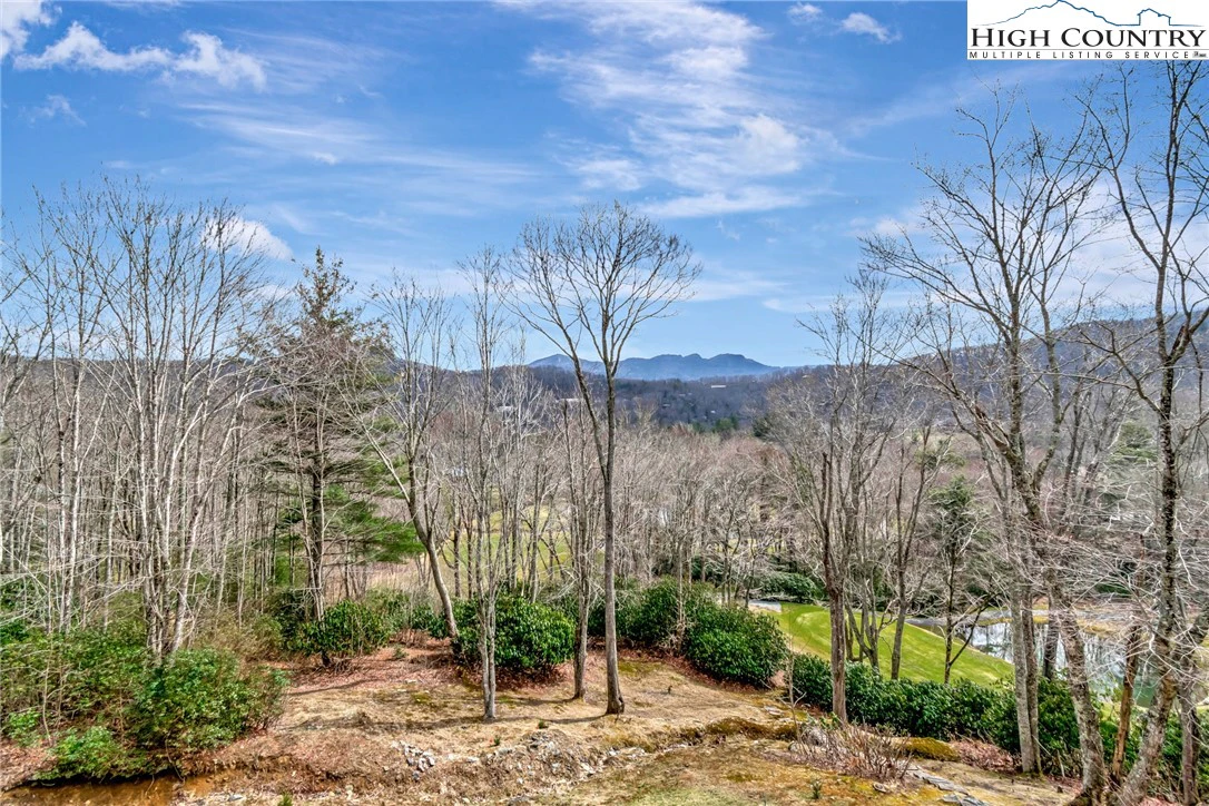 Image number 18 for the current listing