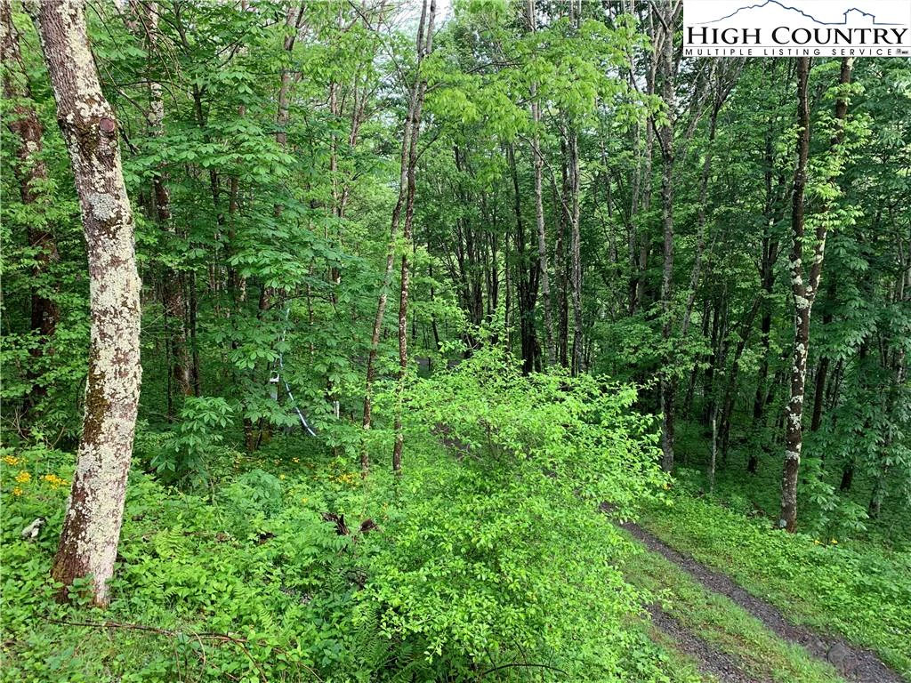 Image number 15 for the current listing