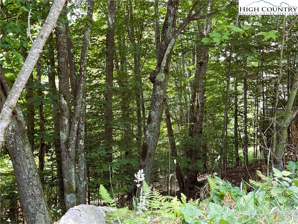 Image number 7 for the current listing
