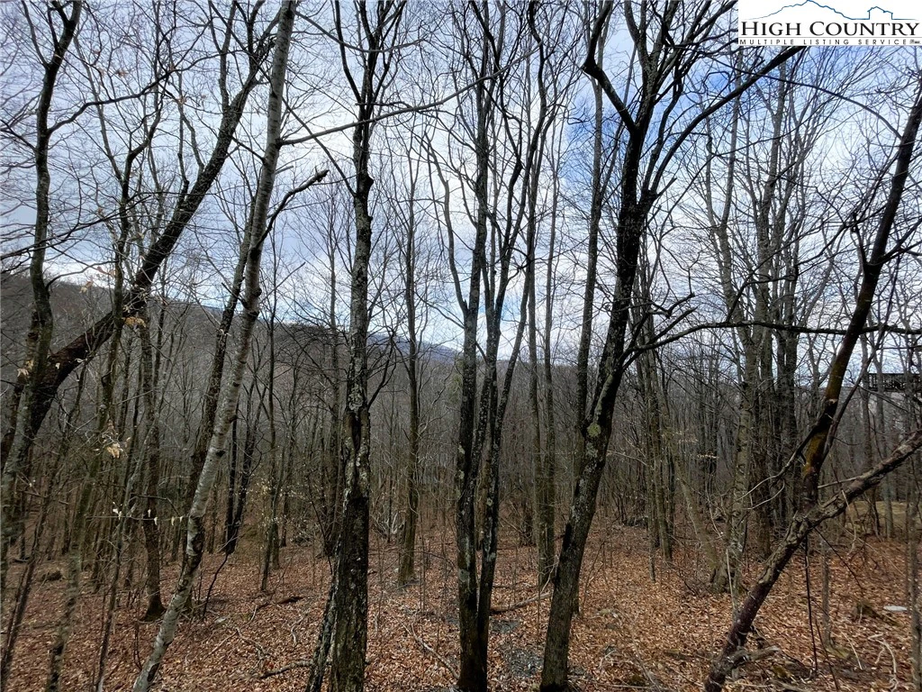 Image number 1 for the current listing