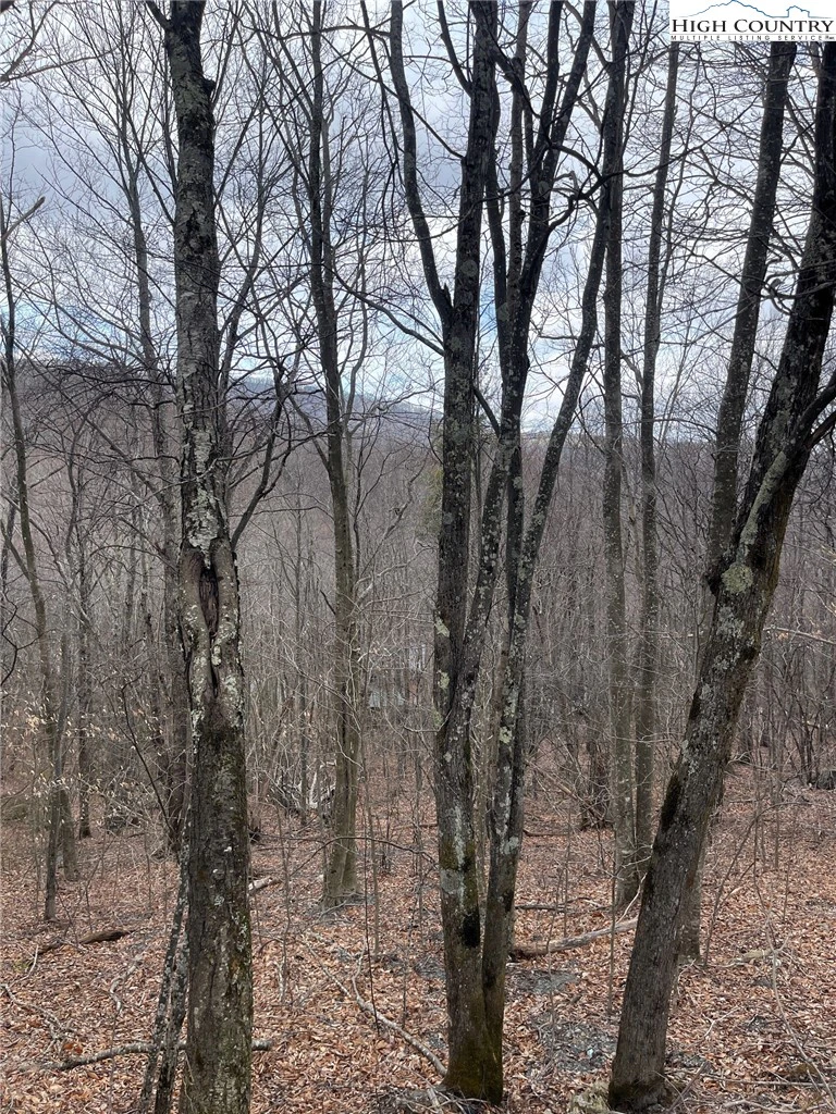 Image number 3 for the current listing