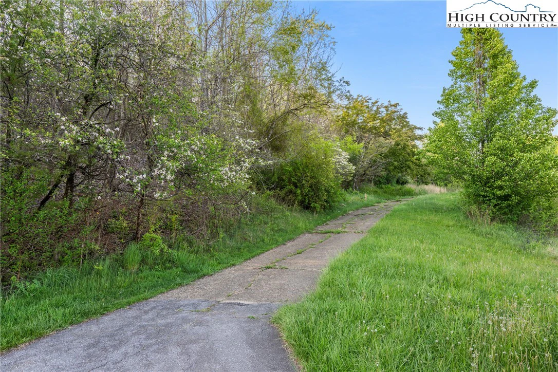 Image number 5 for the current listing