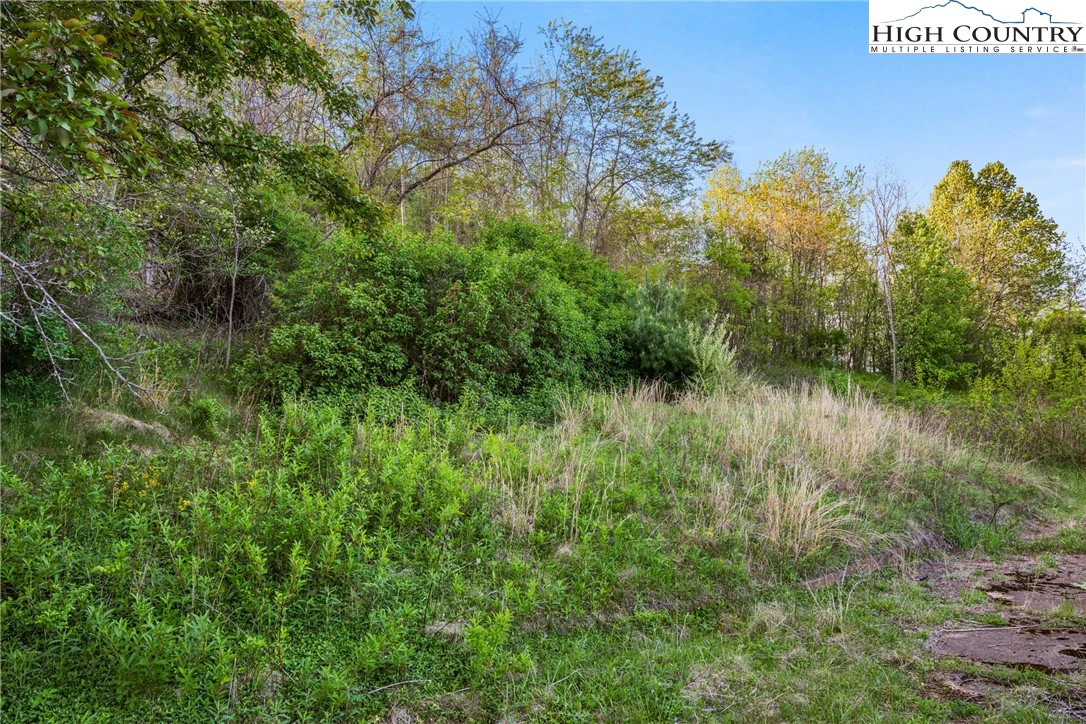 Image number 7 for the current listing