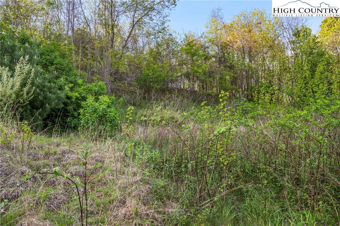 Image number 8 for the current listing