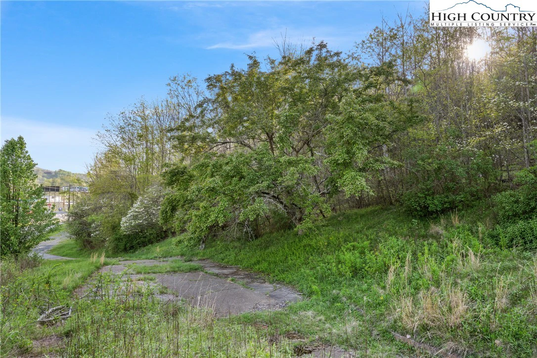 Image number 9 for the current listing
