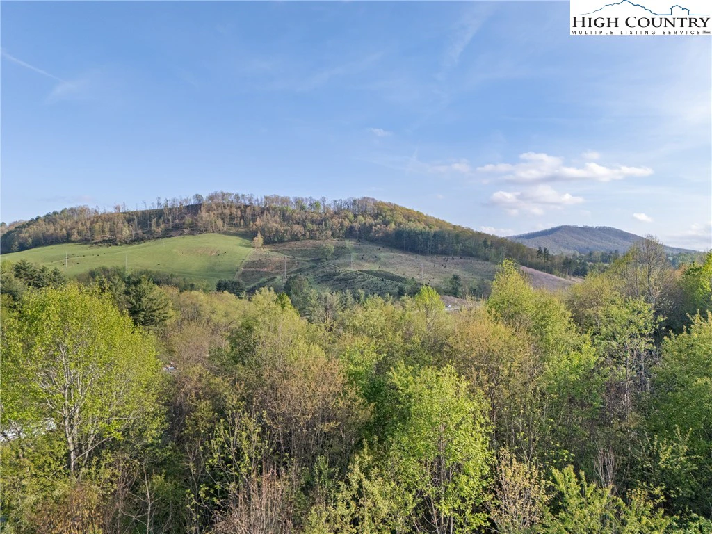 Image number 15 for the current listing