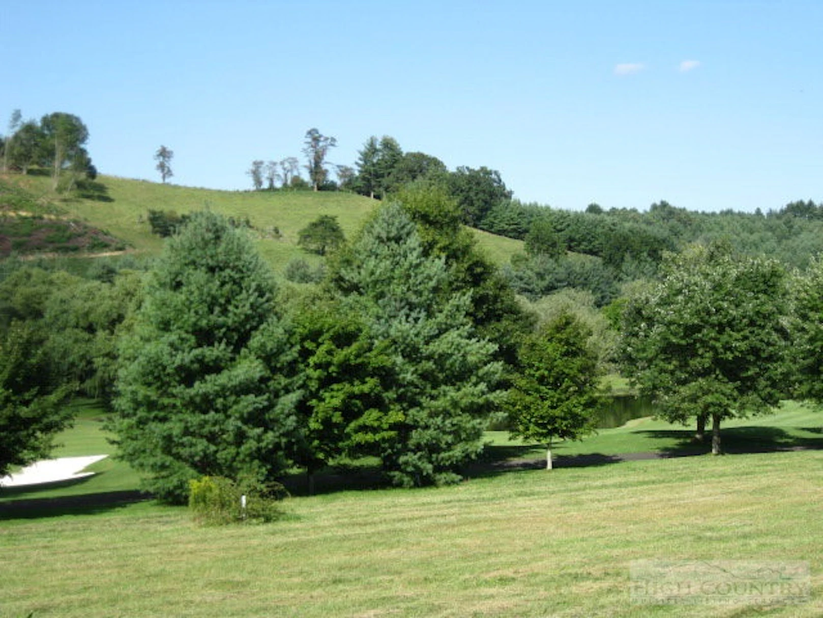 Image number 7 for the current listing