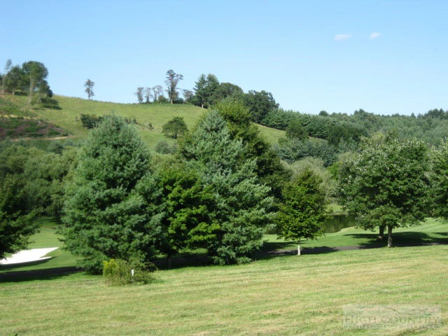Image number 7 for the current listing