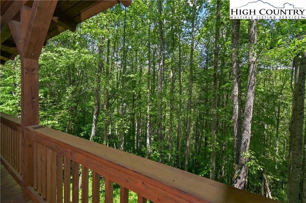 Image number 12 for the current listing