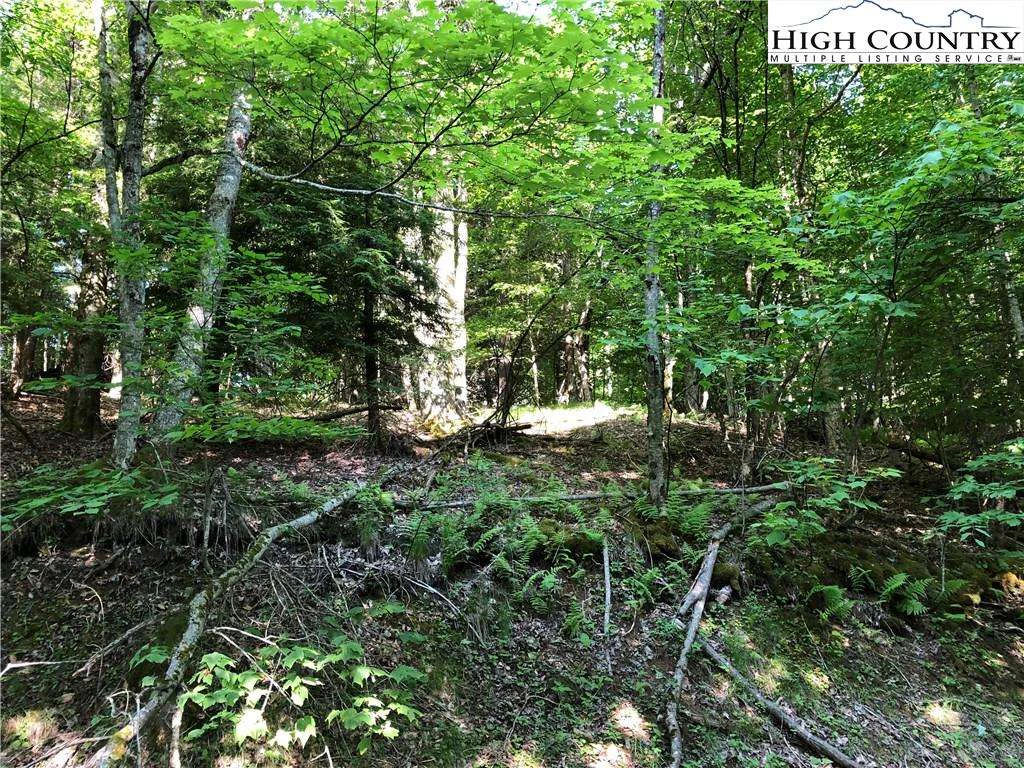 Image number 1 for the current listing