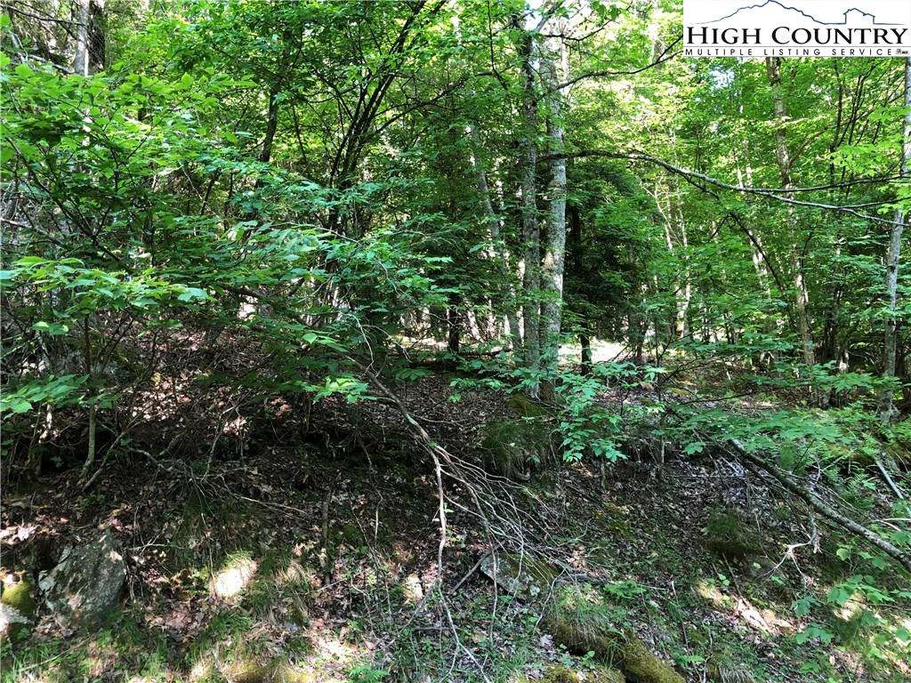 Image number 3 for the current listing