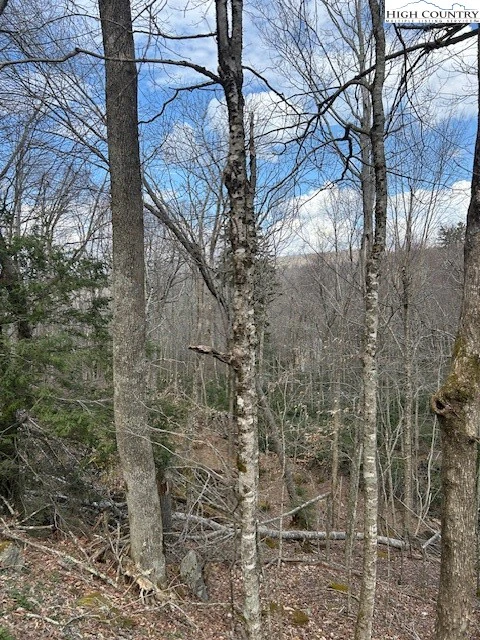 Image number 1 for the current listing