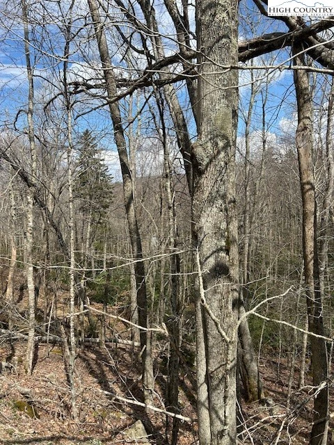 Image number 3 for the current listing