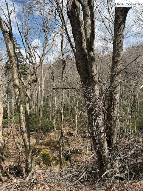 Image number 5 for the current listing