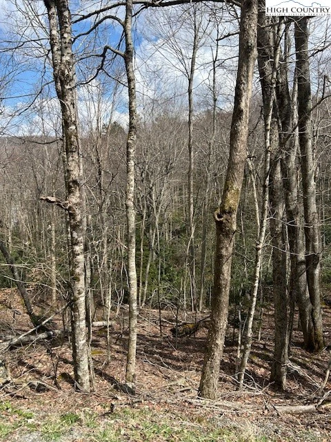 Image number 6 for the current listing