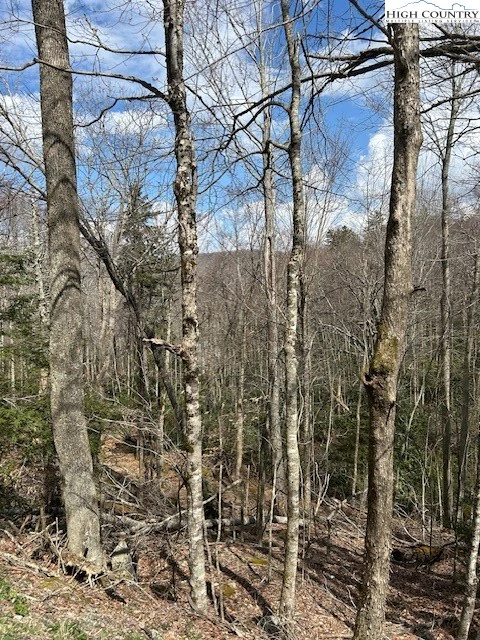 Image number 7 for the current listing