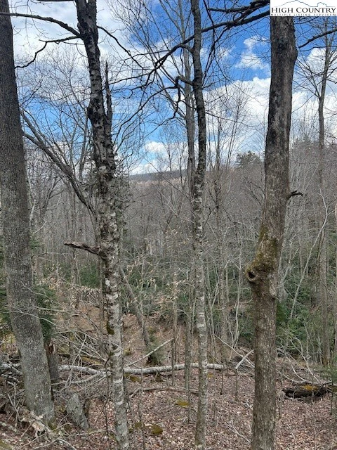 Image number 8 for the current listing