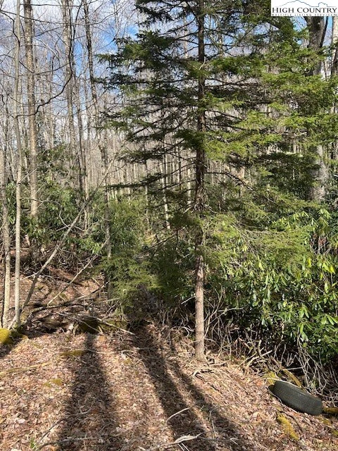 Image number 12 for the current listing