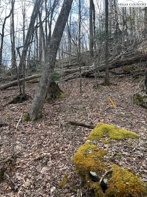 Image number 15 for the current listing