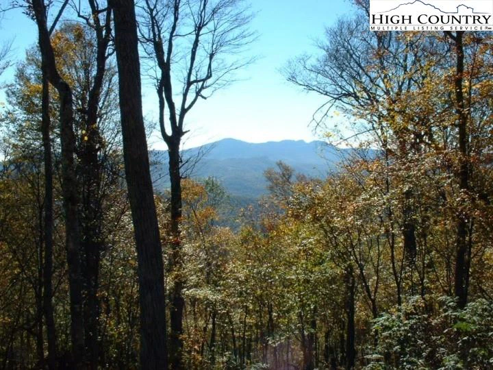 Image number 1 for the current listing