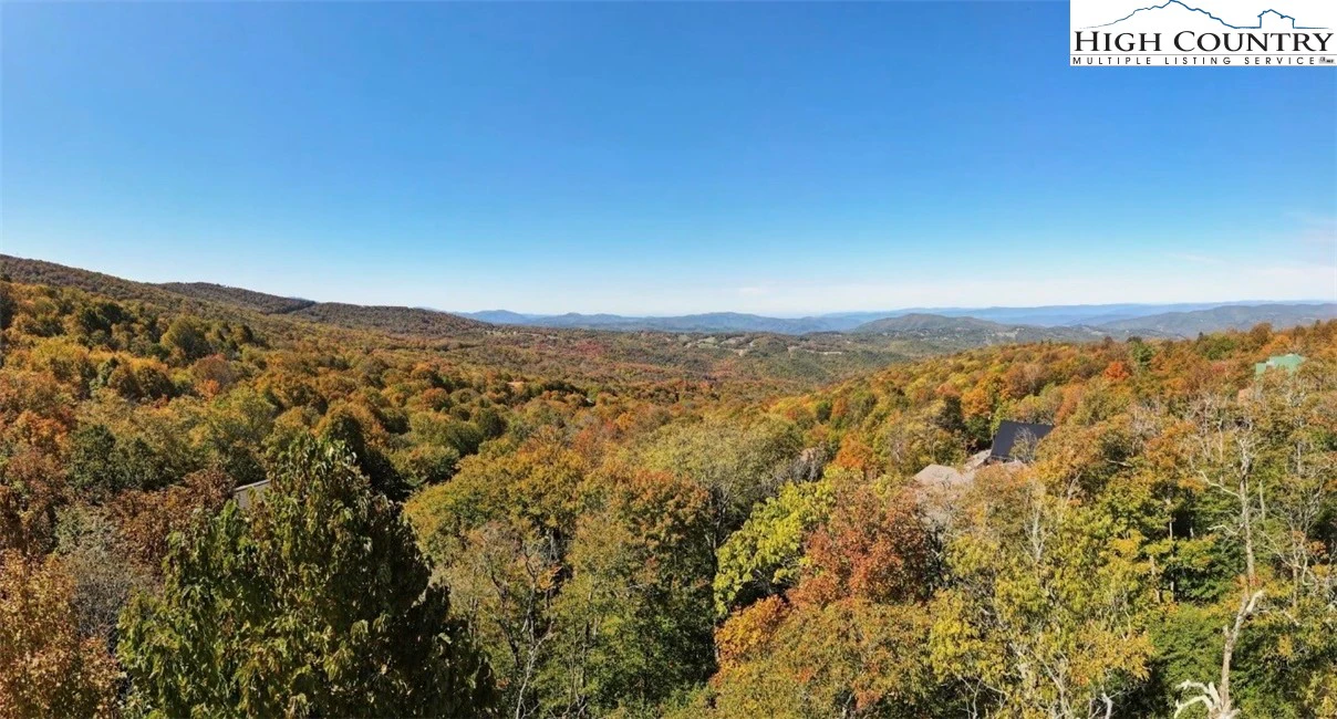 Image number 1 for the current listing