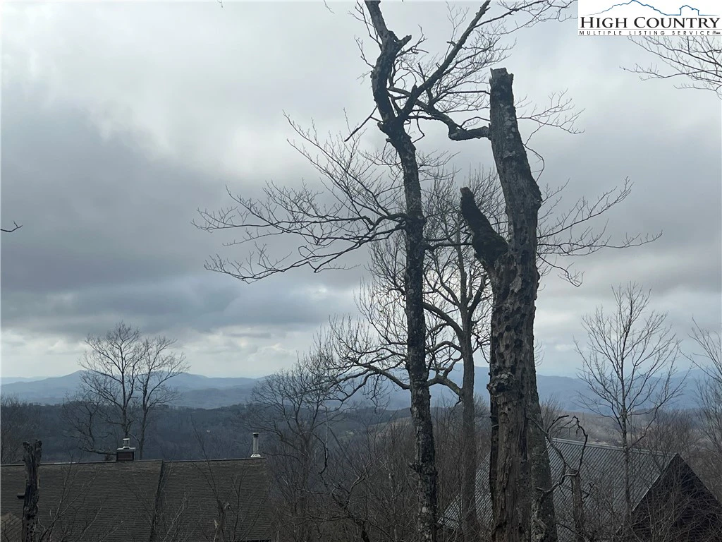Image number 5 for the current listing