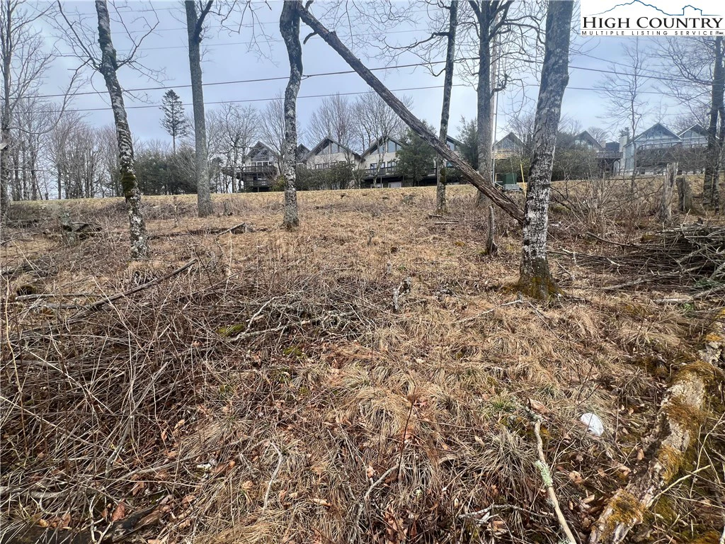 Image number 6 for the current listing