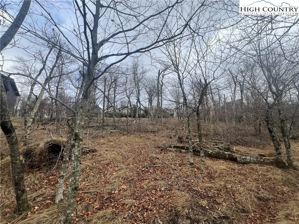 Image number 7 for the current listing