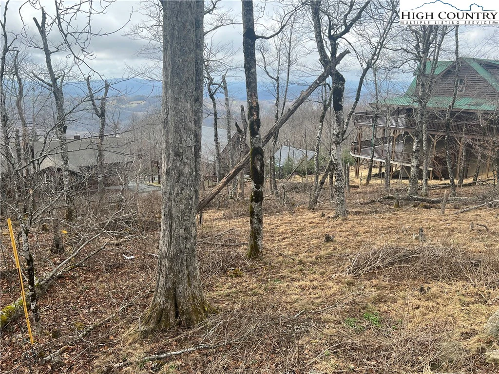 Image number 3 for the current listing
