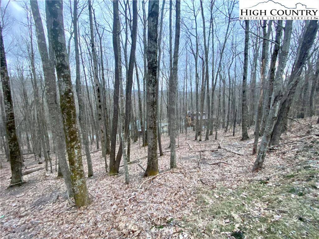 Image number 1 for the current listing