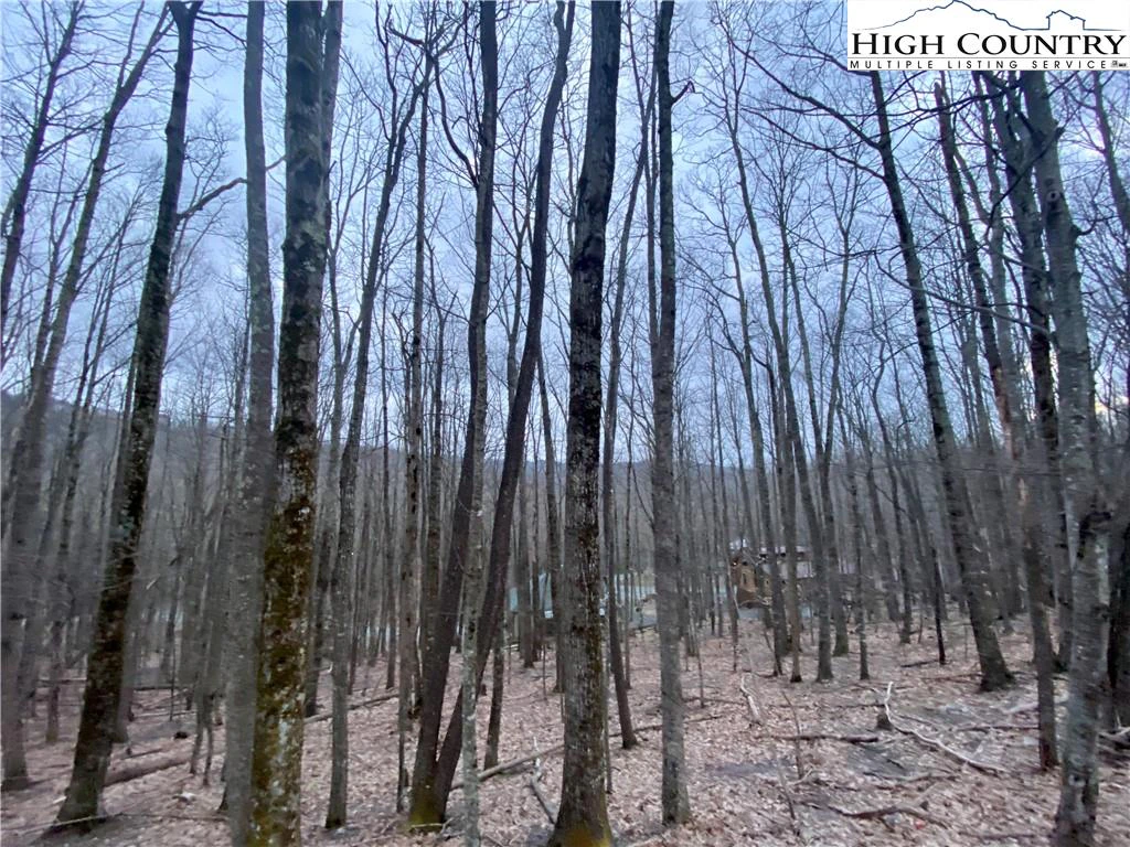 Image number 3 for the current listing