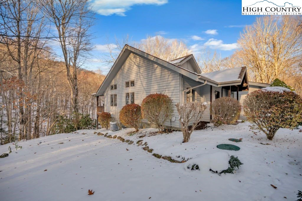 Image number 12 for the current listing