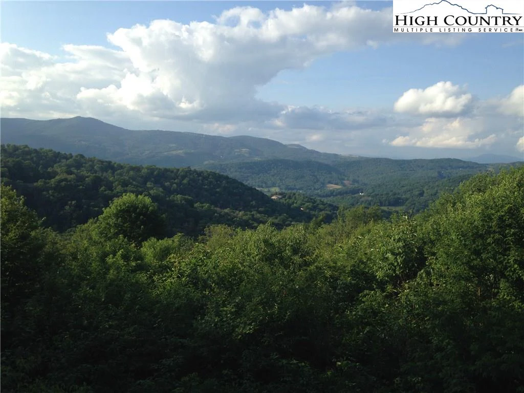 Image number 1 for the current listing