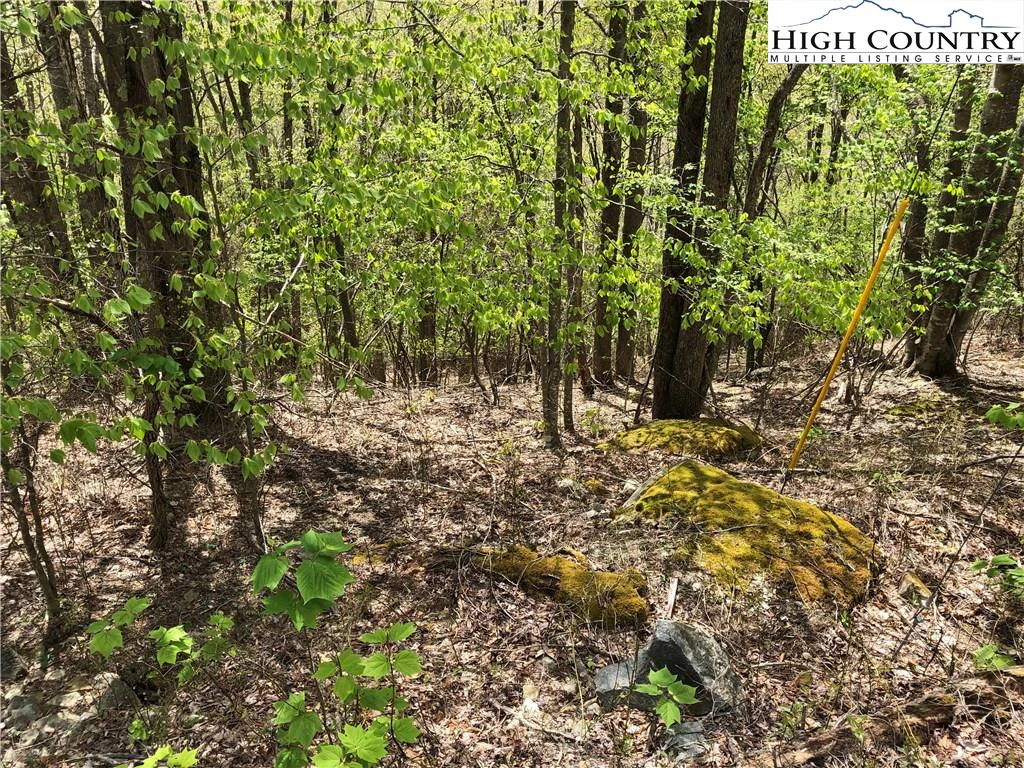 Image number 1 for the current listing