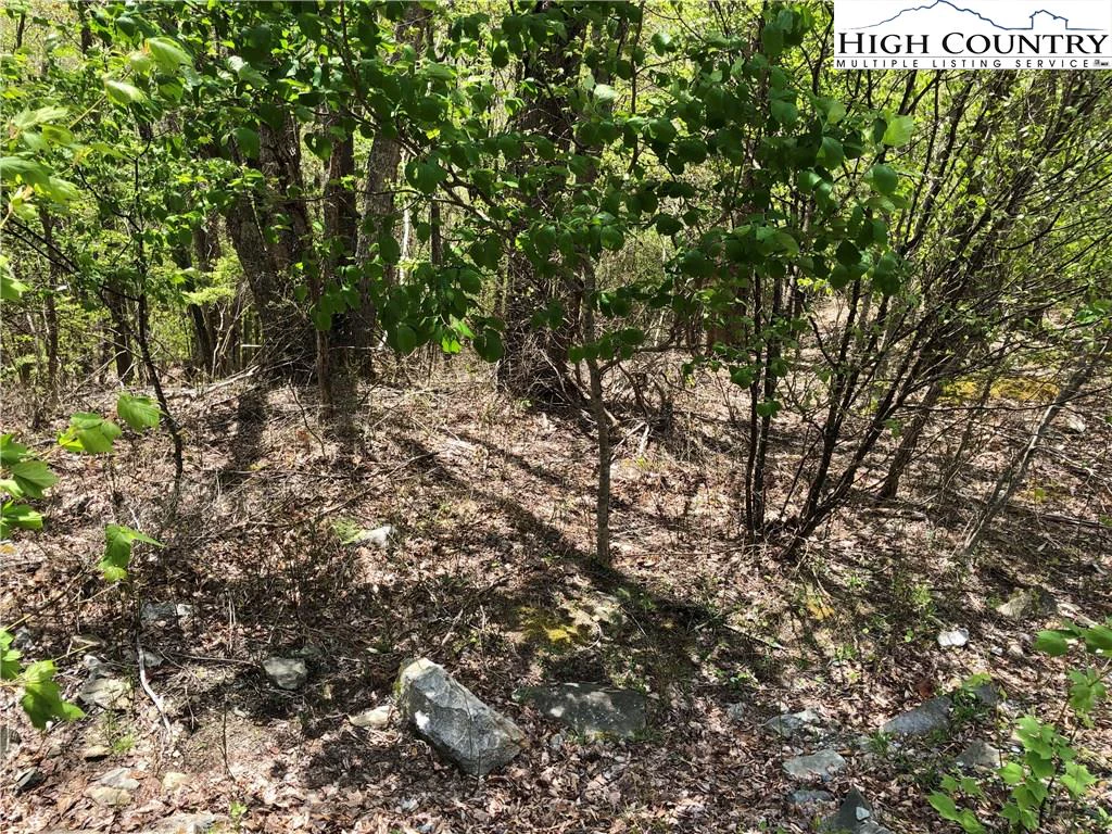 Image number 3 for the current listing