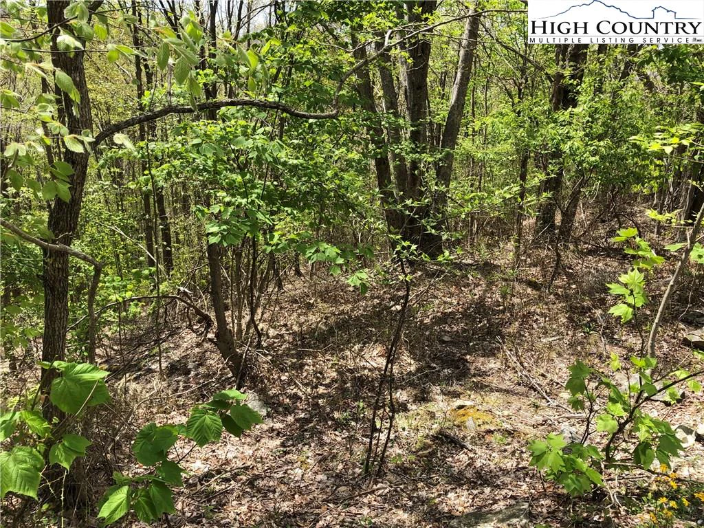 Image number 9 for the current listing