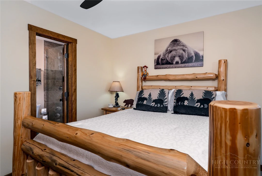 Image number 10 for the current listing