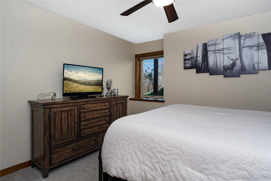 Image number 4 for the current listing