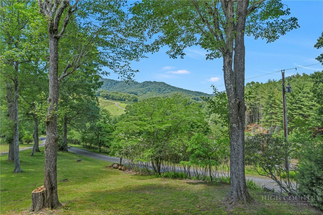 Image number 11 for the current listing