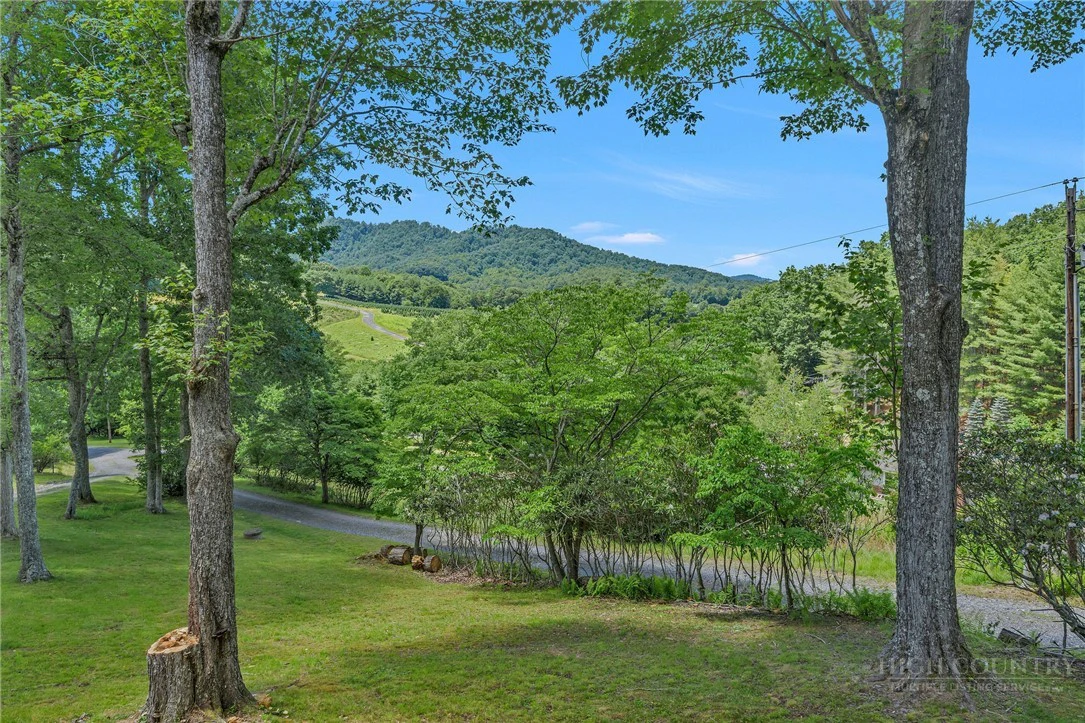 Image number 12 for the current listing