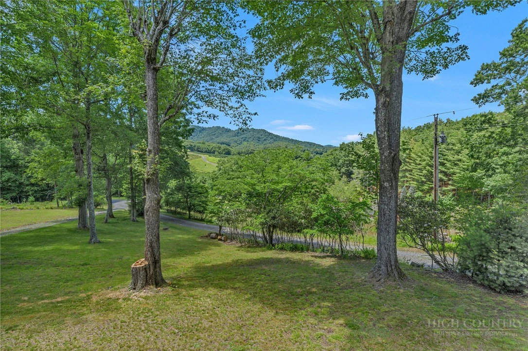 Image number 13 for the current listing