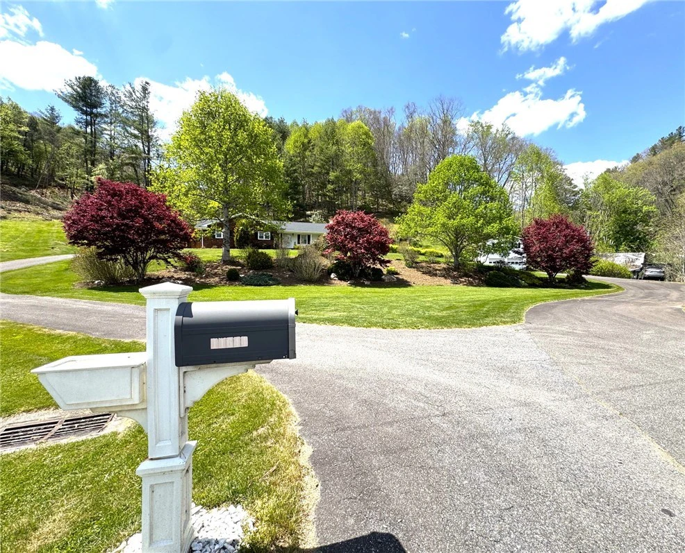 Image number 4 for the current listing